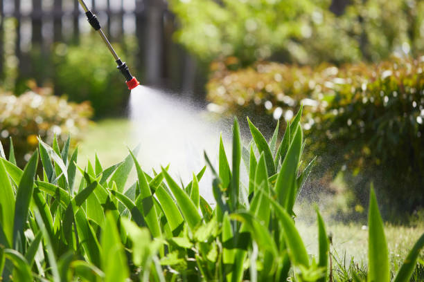 Tamper-Resistant Bait Stations for Rodents in Riverbank