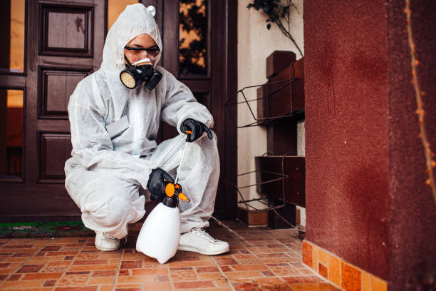Attic and Crawl Space Rodent Treatment in Riverbank